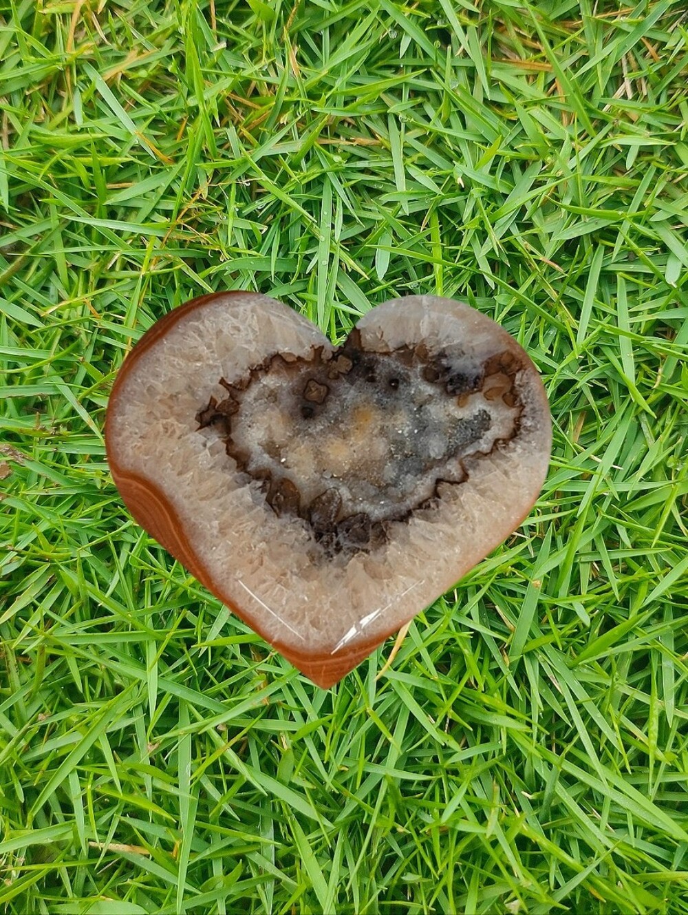 NEW Heart-Shaped Agate Palm Druzy Stone Orange Brown